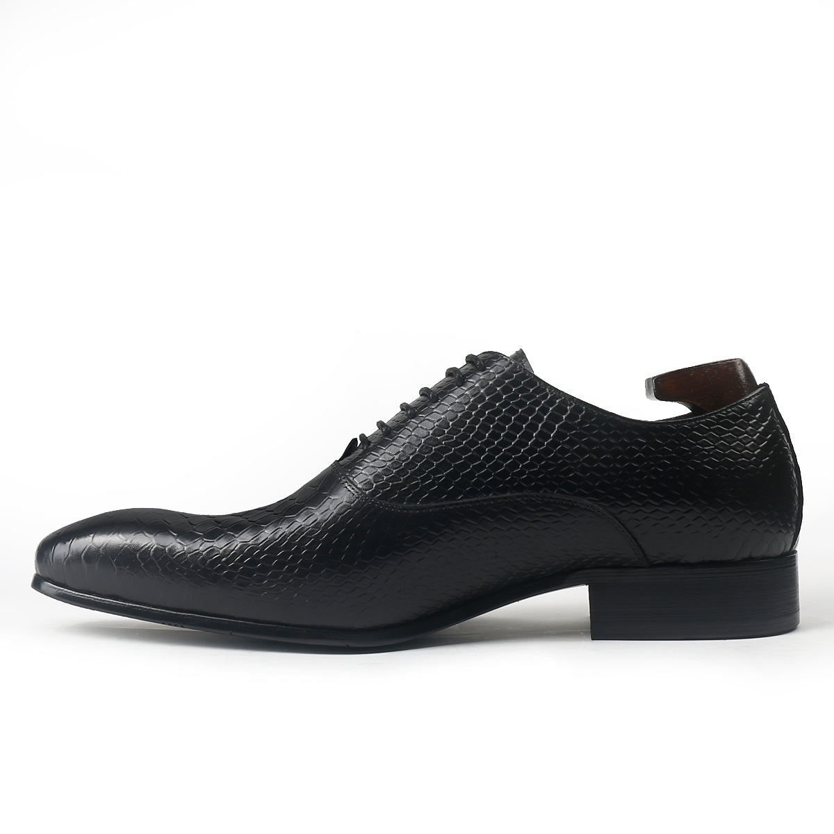 Sophisticated Oxford with Alligator Print