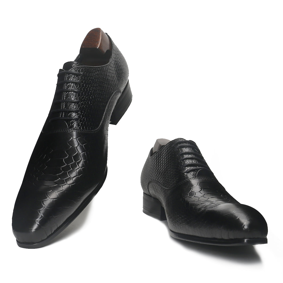 Sophisticated Oxford with Alligator Print