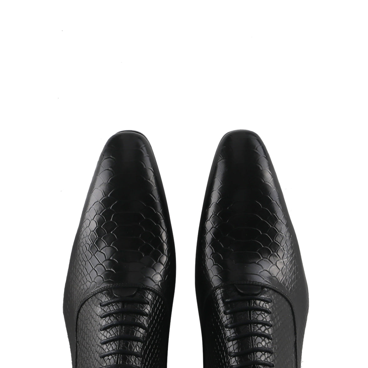 Sophisticated Oxford with Alligator Print