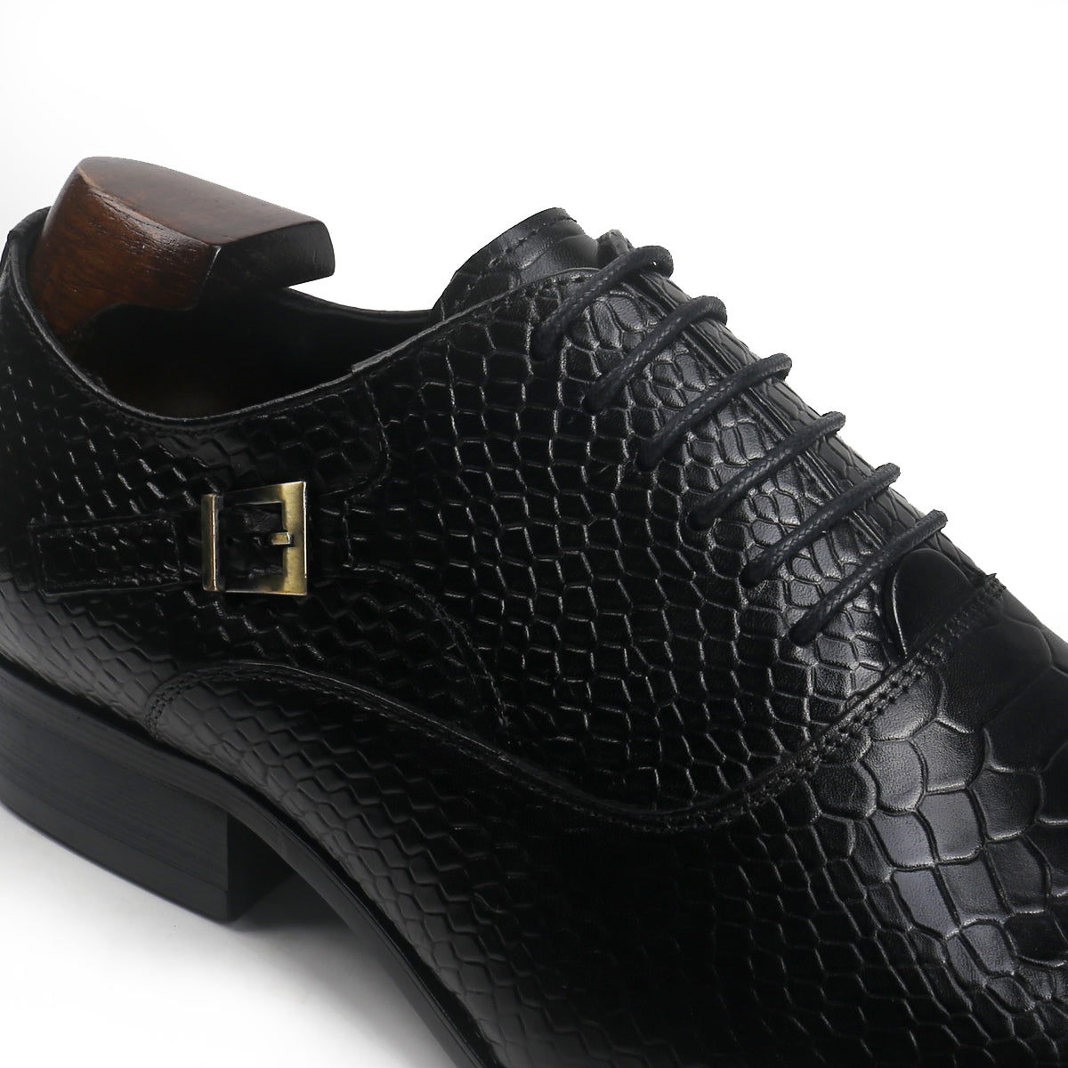 Sophisticated Oxford with Alligator Print