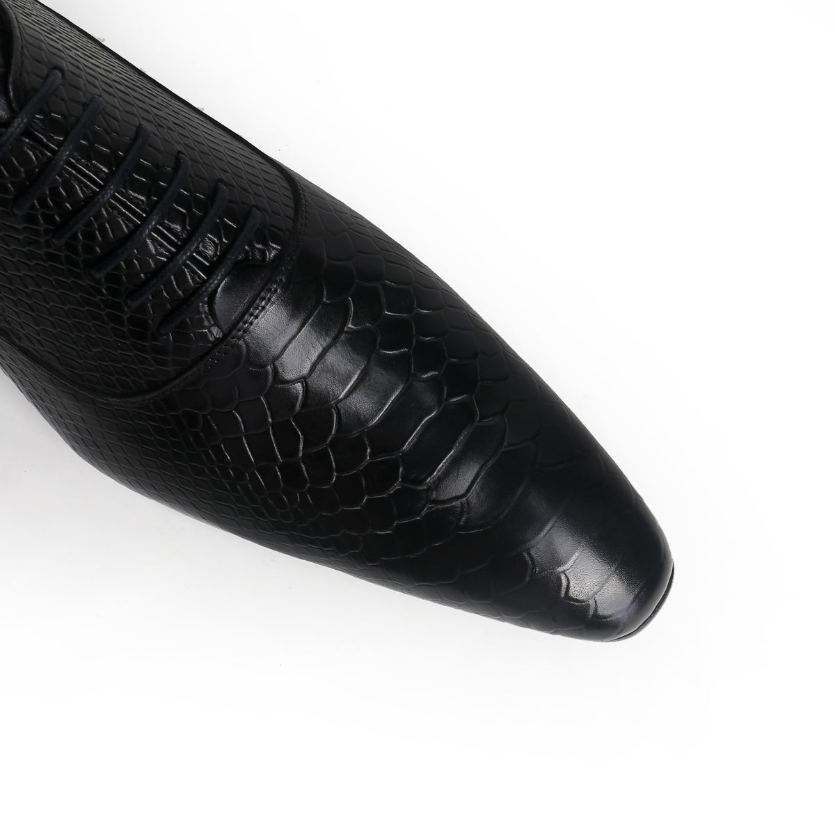 Sophisticated Oxford with Alligator Print