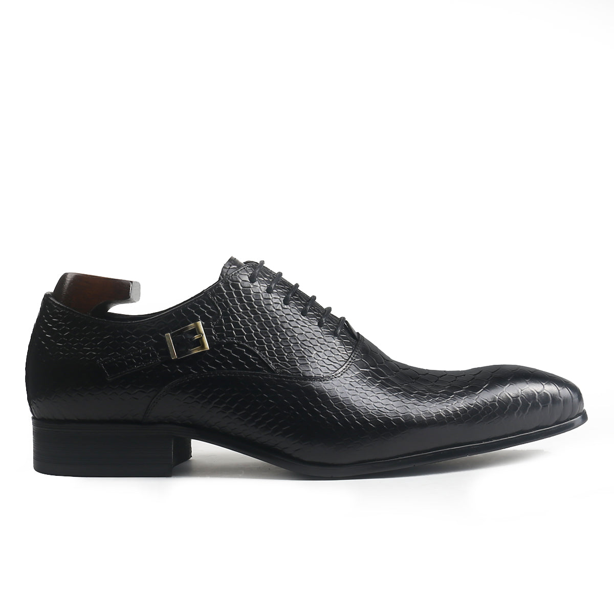 Sophisticated Oxford with Alligator Print