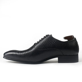 Sophisticated Oxford with Alligator Print