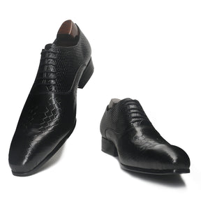 Sophisticated Oxford with Alligator Print