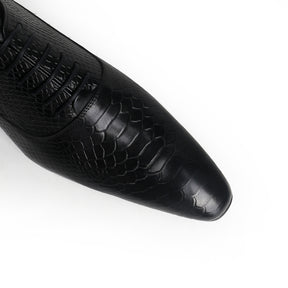 Sophisticated Oxford with Alligator Print